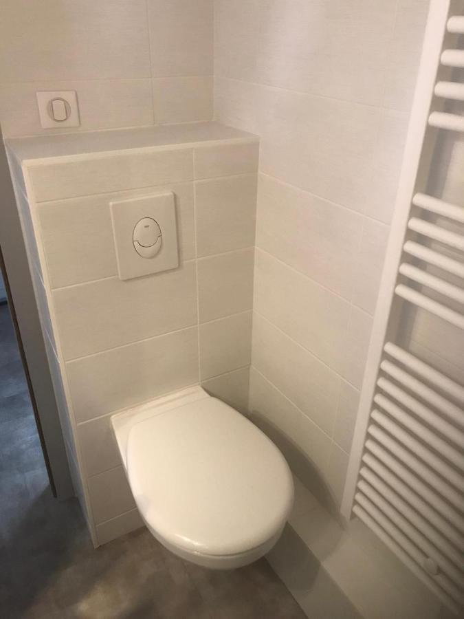 Charmant 2P Au Coeur De Strasbourg Apartment Екстериор снимка